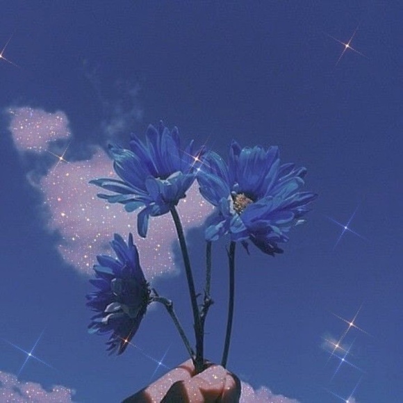 SHOP NEW WITH TAG - Picture 1 of 1